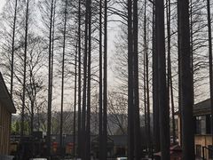 -T80科技文化国际社区-停车场