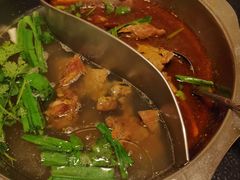 红焖羊肉-新乡杨记红焖羊肉火锅(天坛南门店)