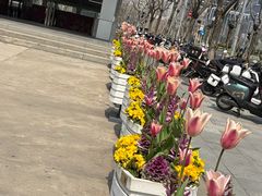 -云锦路(地铁站)
