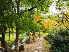 -新洲生态园