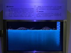 -白鹤梁水下博物馆