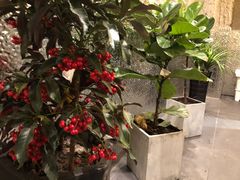 -江湖六膳門串串香(隆礼路店)