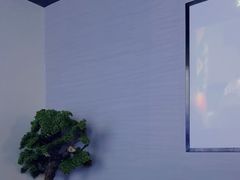 -上足·影院足道·SPA(红岭店)