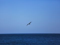 -海驴岛(荣成市)