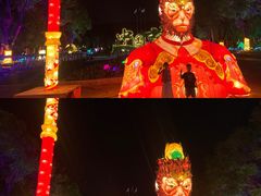 -东南花都花博园