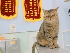 -纳吉亚猫专科动物医院博雅分院