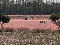 -嘉北郊野公园