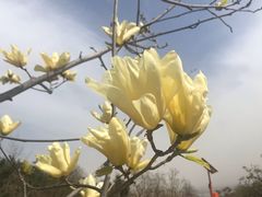 -北京鹫峰国家森林公园
