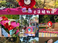 -云溪植物园