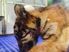 -AdD全日制餐厅(中谷花园酒店)