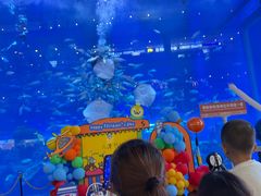 -成都浩海立方海洋公园