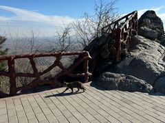 -北京西山国家森林公园