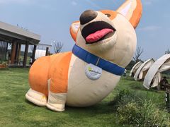 -阳澄湖半岛旅游度假区