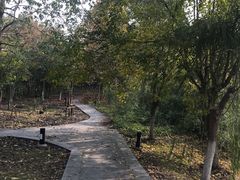 -江南大学(蠡湖校区)
