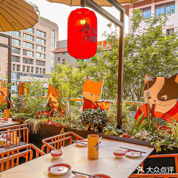 穿越千年，遇见唐猫酒肆的诗意生活～