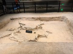 -洛阳周王城天子驾六博物馆