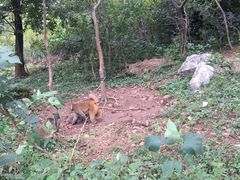 -南京金牛湖风景区