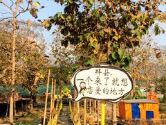 -黄色小屋