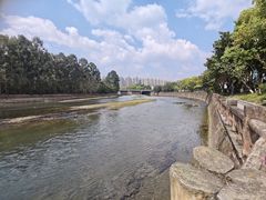-成都南湖公园