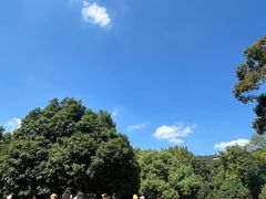 -灵谷景区