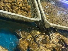 -鲜味食族水产·海鲜餐厅