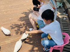 -南昌之星游乐场