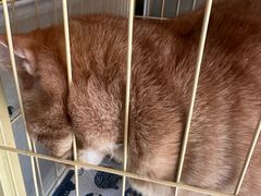 -昼夜咖啡馆