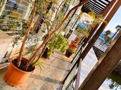 -乡村小榭饭店