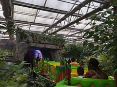 -南宫五洲植物乐园