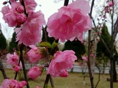 -潇河湿地公园