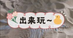 -恐龙探索乐园(磁器口店)