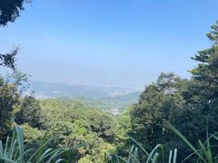 -广州市帽峰山景区