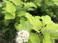 -白塘生态植物园