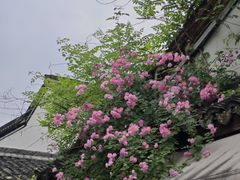 -五柳巷历史街区