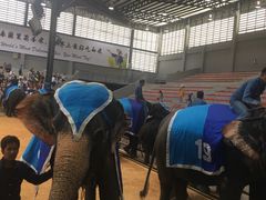 -东芭乐园