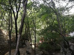 -北京上方山国家森林公园
