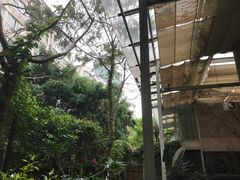 -6号花园别墅酒店