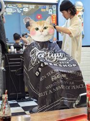 -佗佻理髮廳·Tartyu Barbershop