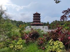 -八仙山公园