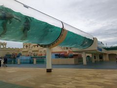 -秦皇岛乐岛海洋王国