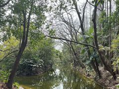 -上海滨江森林公园