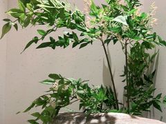 -蜜桃餐厅·伴山(绿宝广场店)