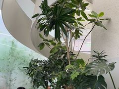 -大树餐厅(朝阳大悦城店)