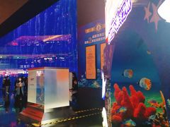 -成都浩海立方海洋公园