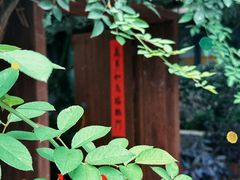 -谷咖啡·鲜花绿植花园餐厅