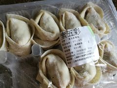 素五彩馄饨-吉祥馄饨(上海新上大店)