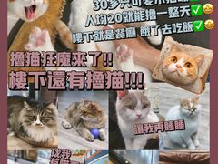 -火车头时光旧物仓
