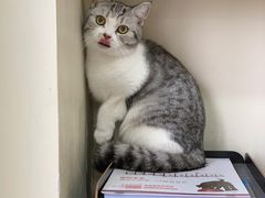 -芭比堂宠物医院·全科爱猫医院·仁德分院