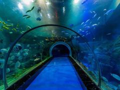 -华夏文旅海洋公园