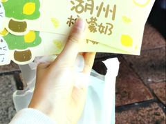 -猫的魔法密林(衣裳街店)